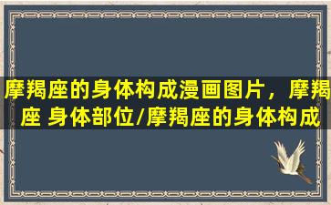 摩羯座的身体构成漫画图片，摩羯座 身体部位/摩羯座的身体构成漫画图片，摩羯座 身体部位-我的网站